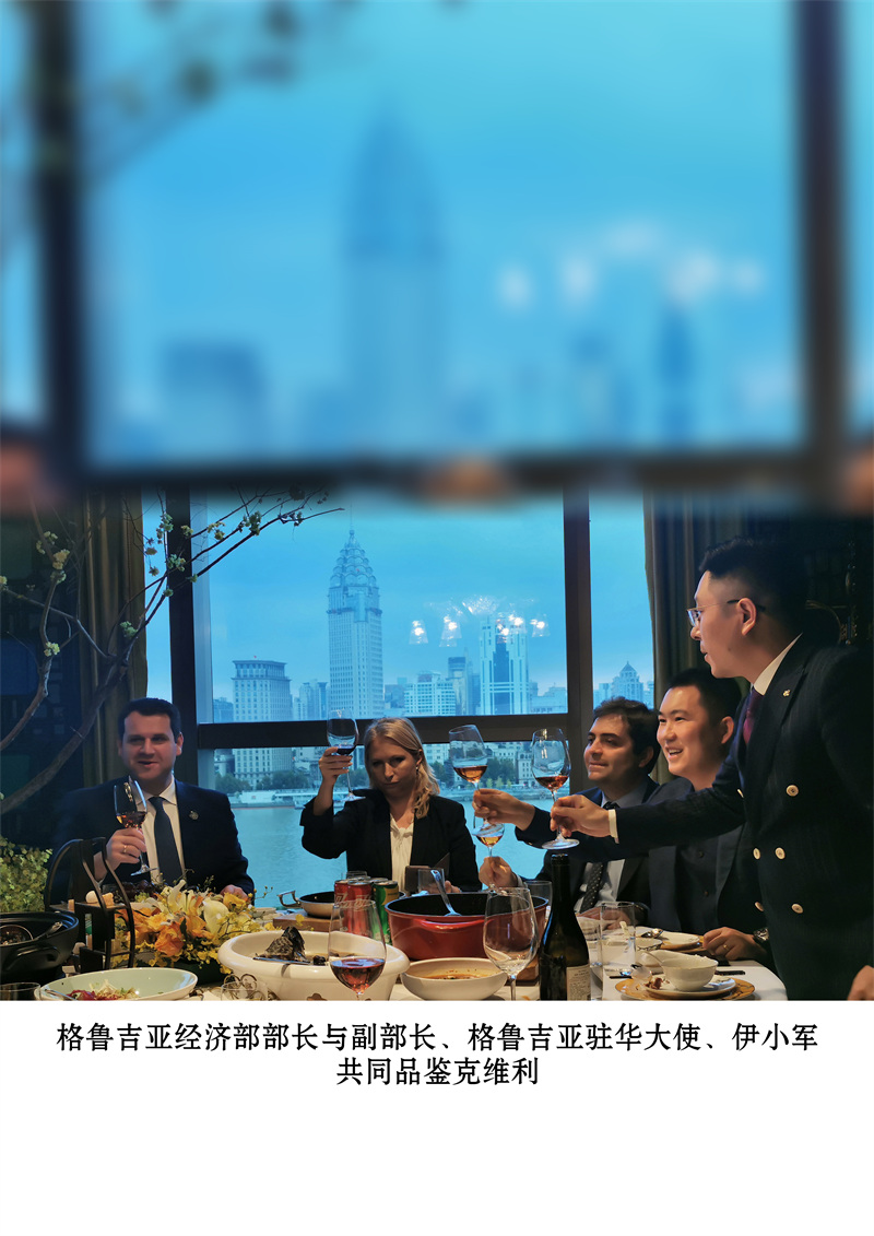 格鲁吉亚经济部部长与副部长、格鲁吉亚驻华大使、伊小军