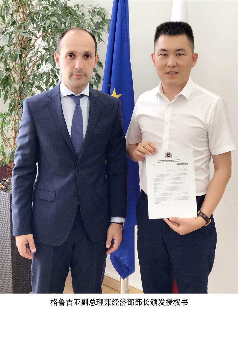 格鲁吉亚副总理兼经济部部长颁发授权书